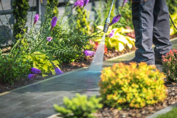 Best Winterizing Services  in Cleveland, GA