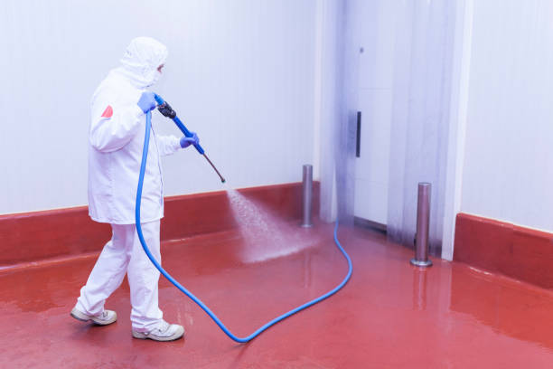 Best Solar Panel Cleaning  in Cleveland, GA