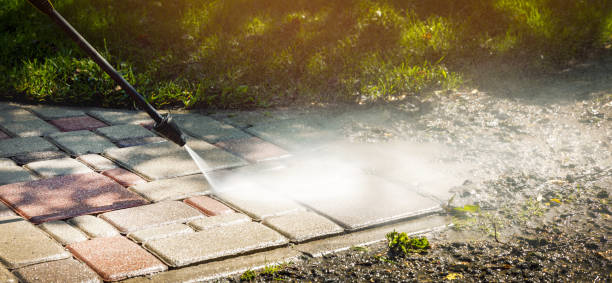 Animal Enclosure Cleaning in Cleveland, GA